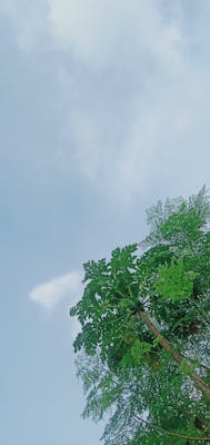 Professional security guard in hotel uniform